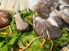 -尚尚仙·酸汤猪手·猪肚鸡火锅(华联万柳购物中心店)