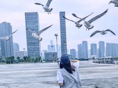 -东港音乐喷泉广场