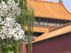 -故宫博物院(故宫)
