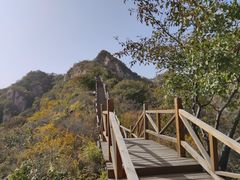 -大岭沟猕猴桃谷风景区