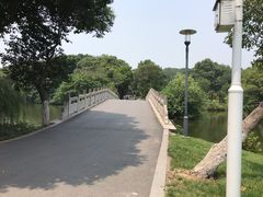 -太子山公园(园东路)