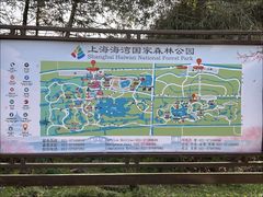 -上海海湾国家森林公园