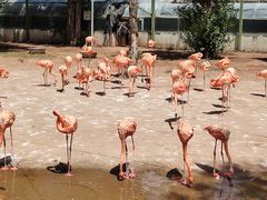 -鄂尔多斯野生动物园