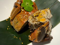 -打酱油·非遗淮扬菜(瘦西湖梅岭老店)