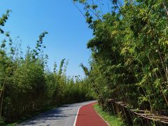 -上海长兴岛郊野公园