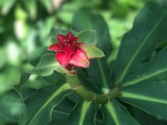 -沙河粉村·国家非遗传承(云台店)