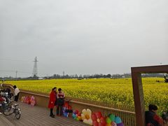 -桤木河湿地公园