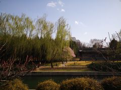 -元大都城垣遗址公园