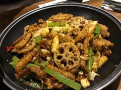 -靓蛙馆