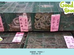 -荔城生鲜盛宴(番禺旗舰店)