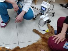 -美联众合动物医院·24h京西诊疗中心