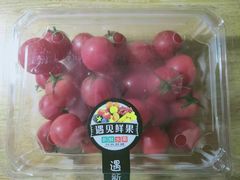 -上海海事大学(临港校区)