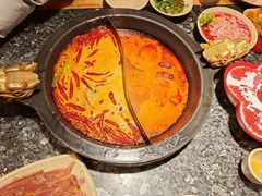 -蜀大侠火锅(总府路店)