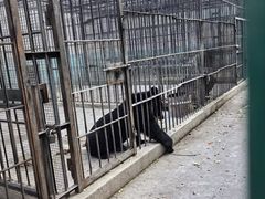 -保定市动物园