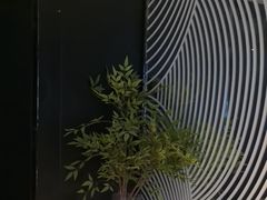 -华夏良子·足道SPA艾灸(金皇大厦店)