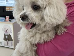 -北京观赏动物医院·24小时大型综合·猫专科·异宠专科