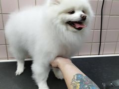 -FAELING PETS美天灵宠物(富力广场店)