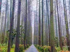 -上海怡沁园度假酒店