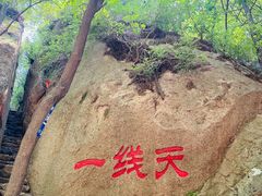 -六里坪国家森林公园