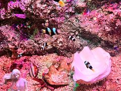 -正佳极地海洋世界