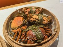 -杨氏青龙虾·羊蝎子(托乐嘉店)