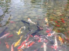 -天河潭旅游度假区