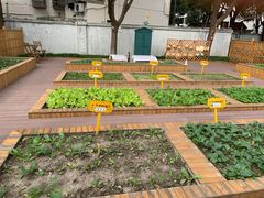 -上海市徐汇区果果幼儿园(华发园)