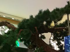 -桂满陇·蟹黄小笼汤包(中山公园店)