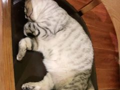 -H立方实景剧情密室(天河旗舰店)