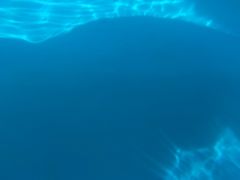 -杭州浪浪浪水公园