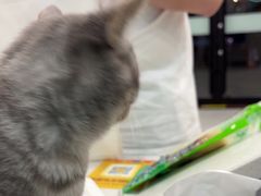 -安安宠医宠物医院·异宠·犬猫内科(岳阳分院)