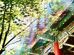 -都江堰普照寺