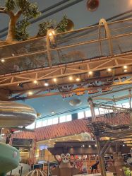 -卡通尼·Safari非洲探索乐园·生日会(金桥国际商业广场店)