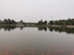 -西海子公园