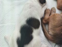 -万达广场(南京江宁店)