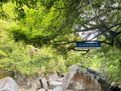 -石台牯牛降景区
