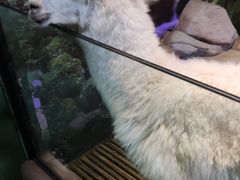 -苏州海洋馆