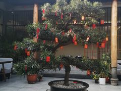 -天府掌柜(九眼桥店)