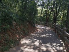 -广州市白云山风景名胜区