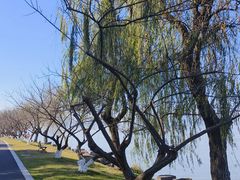 -东钱湖旅游度假区