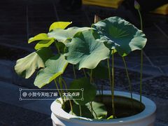 -西安市广仁寺