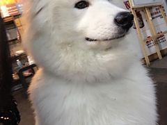 -鲨石格斗联盟(双井店)