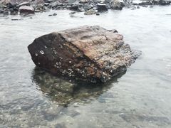 -盐洲岛
