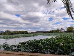 -莲花池公园