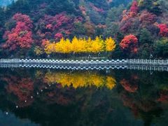 -秦岭终南山世界地质公园翠华山景区