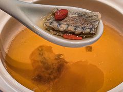 -沈灶河豚宴·河豚融合餐厅(汉中路店)