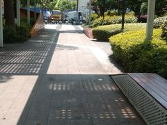 -兰溪青年公园