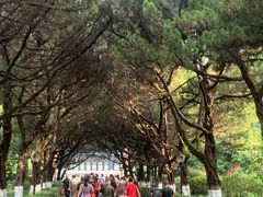 -南岳衡山风景名胜区-南岳大庙