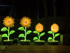 -枫花园汽车电影院(朝阳公园店)