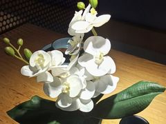 -九锅一堂酸菜鱼(学府凯德店)